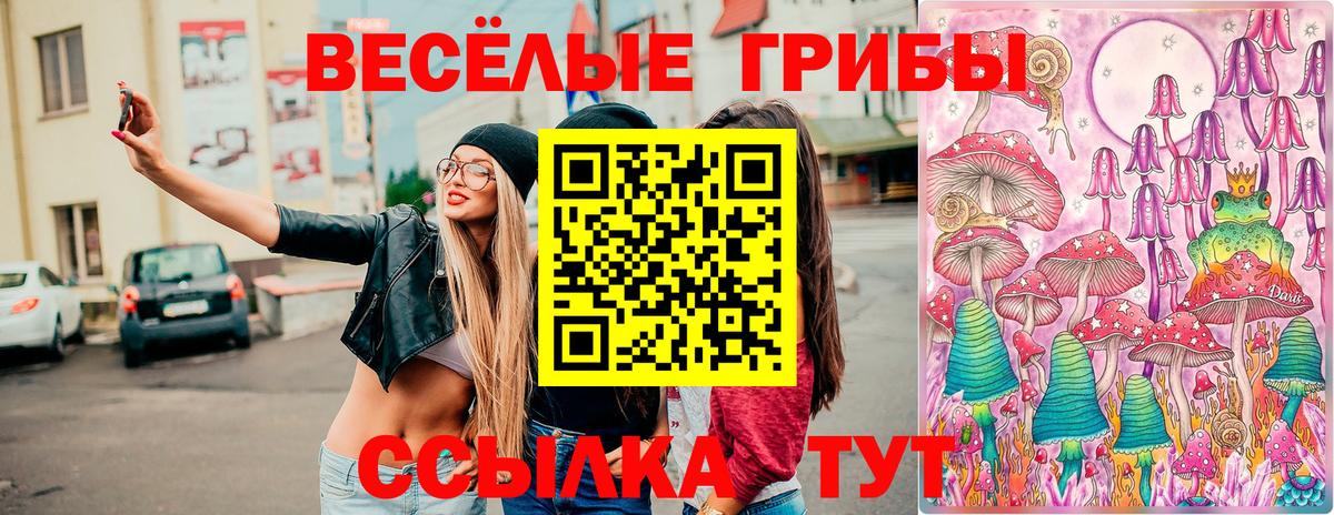 Псилоцибиновые грибы мицелий Гусев