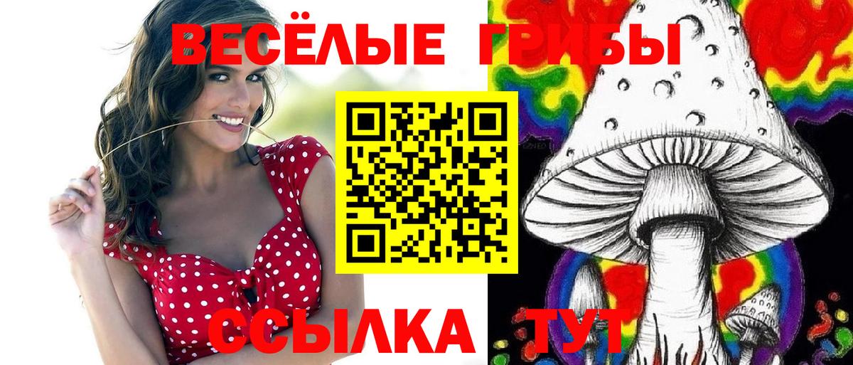 Галлюциногенные грибы мухоморы  Вход с VPN  Гусев  Псилоцибиновые грибы Cubensis 